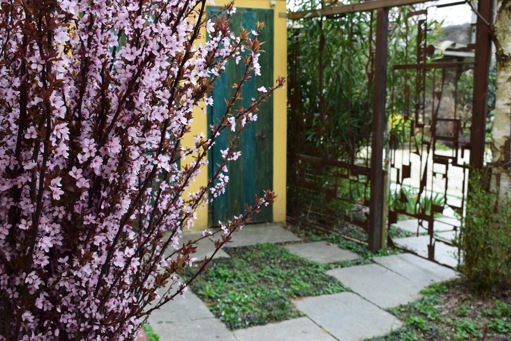 Agriturismo Casa de Colores Moretta Exterior foto